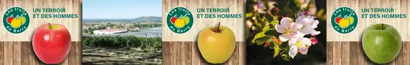 Bâche publicitaire 500 x 80 cm des Fruits du Barry conçue par Graphiste CC, Lot-et-Garonne